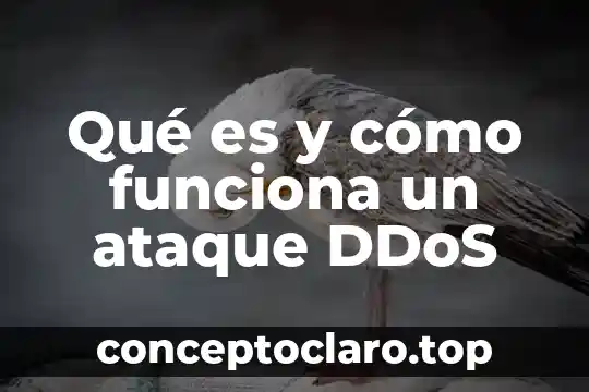 Qué es y cómo funciona un ataque DDoS