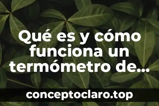 Qué es la fonación y cómo funciona 7 Qué es y cómo funciona un termómetro de gas