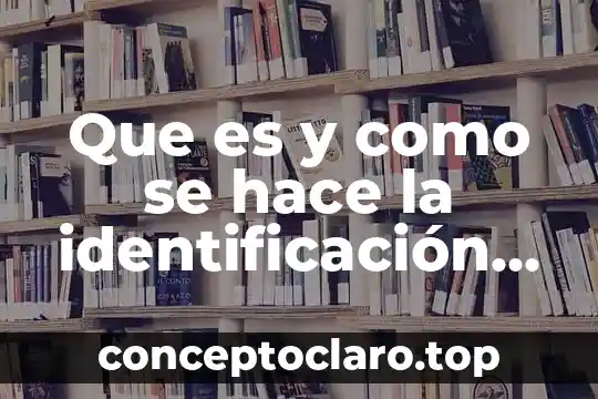 Que es un registro anectodico y como se hace 3 Que es y como se hace la identificación antropométrica