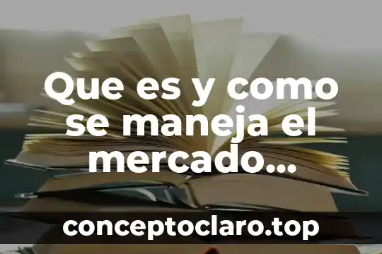 Que es y como se maneja el mercado financiero