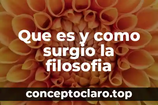 Que es y como surgio la filosofia