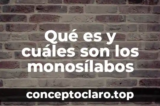 Qué es y cuáles son los monosílabos