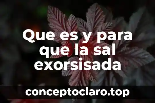 Que es y para que la sal exorsisada