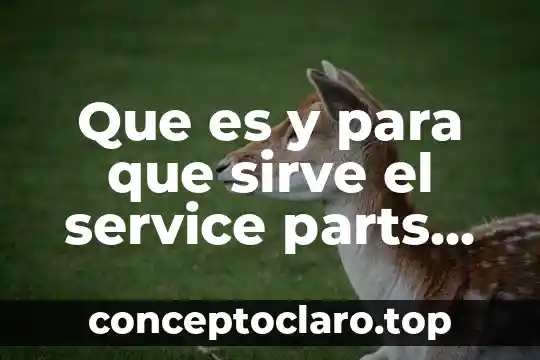 Que es y para que sirve el service parts identification