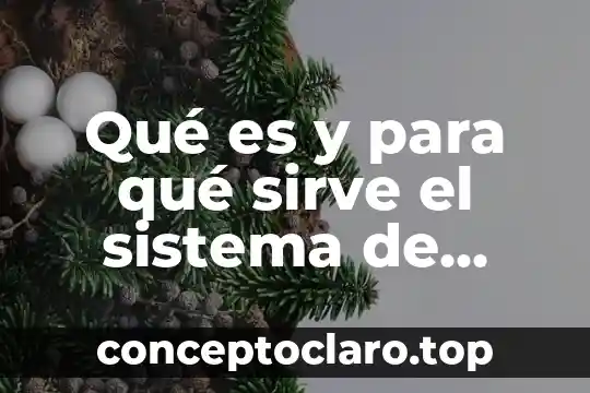 Qué es y para qué sirve el compás musical 3 Qué es y para qué sirve el sistema de sincronización