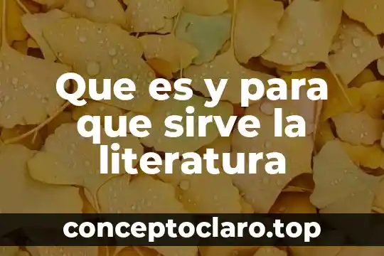 Que es un texto dra 6 Que es y para que sirve la literatura