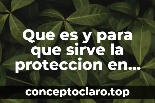 Que es y para que sirve la proteccion en excel