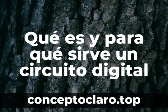 Qué es el número del certificado digital de la FEA 3 Qué es y para qué sirve un circuito digital