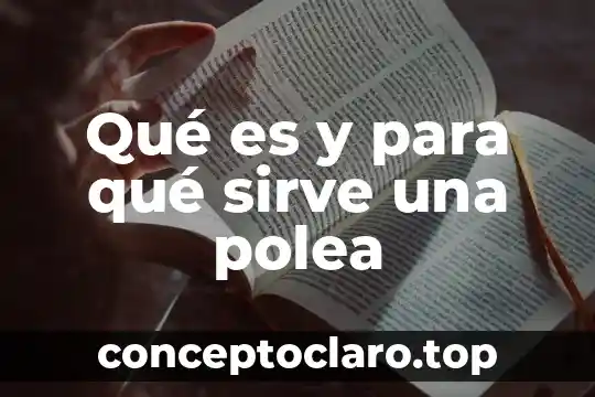 Qué es polea en matemáticas 3 Qué es y para qué sirve una polea