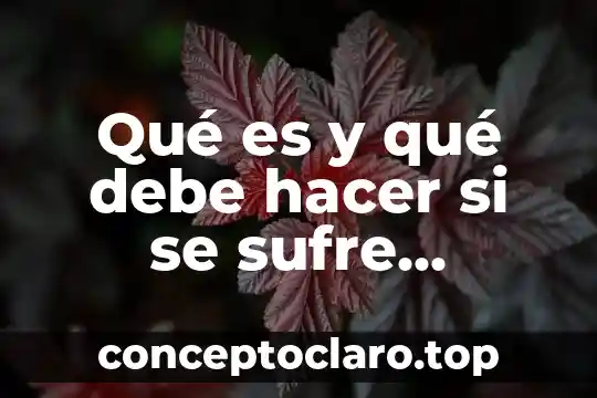 Qué es y qué debe hacer si se sufre ciberacoso