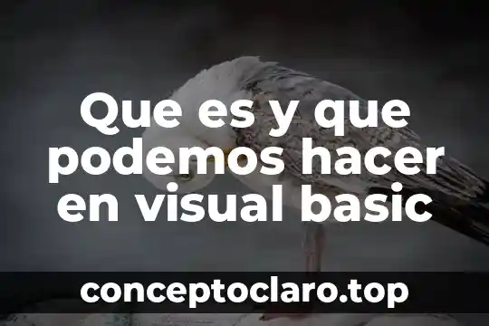 Que es y que podemos hacer en visual basic