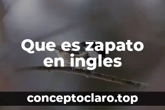 Que es zapato en ingles