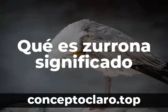 Que es una reserva natural significado 4 Qué es zurrona significado