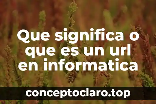Que es un servidor de red informatica 8 Que significa o que es un url en informatica