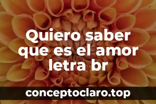 Operador de carga que es lo que quiero como empresa 3 Quiero saber que es el amor letra br