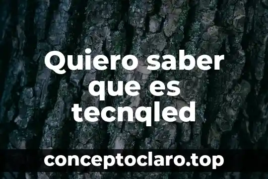 Operador de carga que es lo que quiero como empresa 5 Quiero saber que es tecnqled