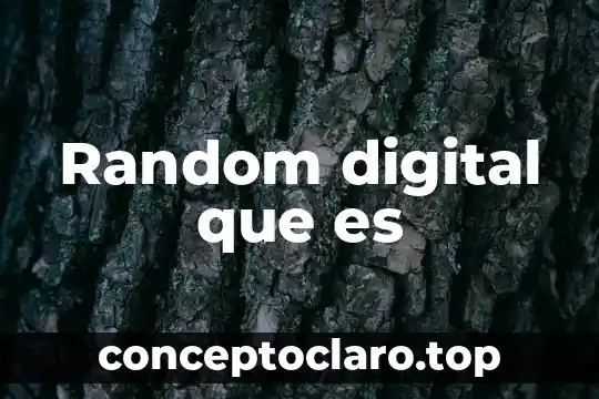 Que es un anotador digital 3 Random digital que es