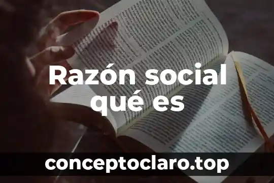 Razón social qué es