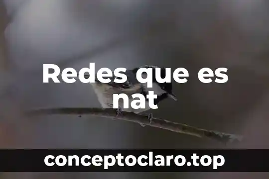 Vartalon compuesto para que es 6 Redes que es nat