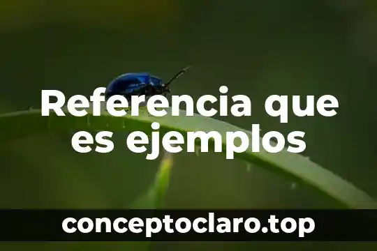 Referencia que es ejemplos