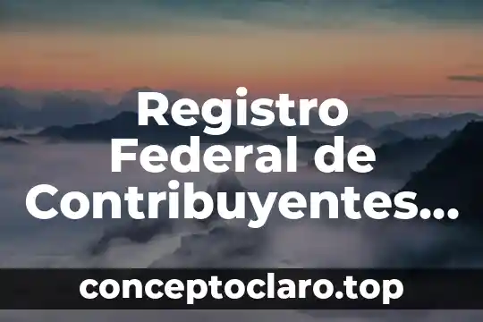 Que es un estado federal y sus caracteristicas 3 Registro Federal de Contribuyentes que es IJ