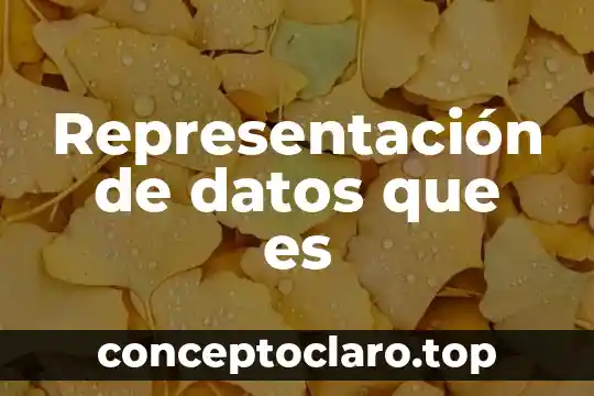 Representación de datos que es