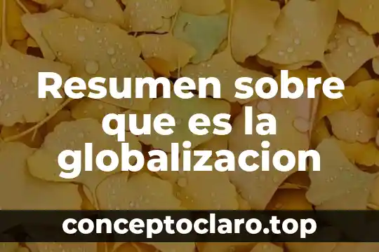 Resumen sobre que es la globalizacion