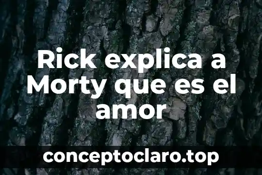 Explica con tus propias palabras que es erosion de viento 5 Rick explica a Morty que es el amor
