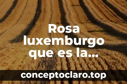 Rosa luxemburgo que es la economia