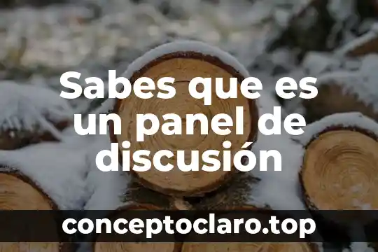 Sabes que es un panel de discusión