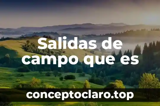 Que es libro de entradas y salidas 3 Salidas de campo que es