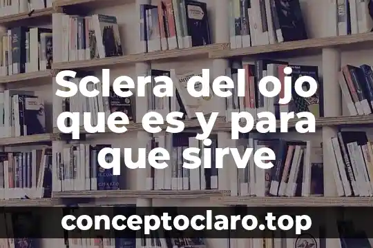 Sclera del ojo que es y para que sirve