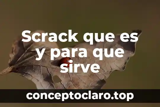 Que es la sangre de drago para que sirve 4 Scrack que es y para que sirve