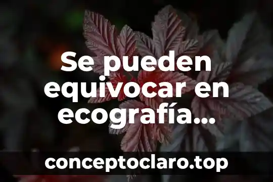 Que es negocios internacionales donde pueden trabaj 7 Se pueden equivocar en ecografía diciendo que es niño 2019