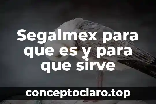 Que es un amuleto y para que sirve 6 Segalmex para que es y para que sirve