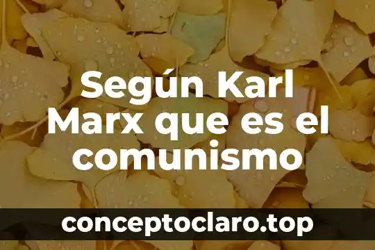 Según Karl Marx que es el comunismo