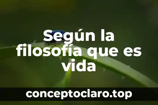 Según la filosofía que es vida