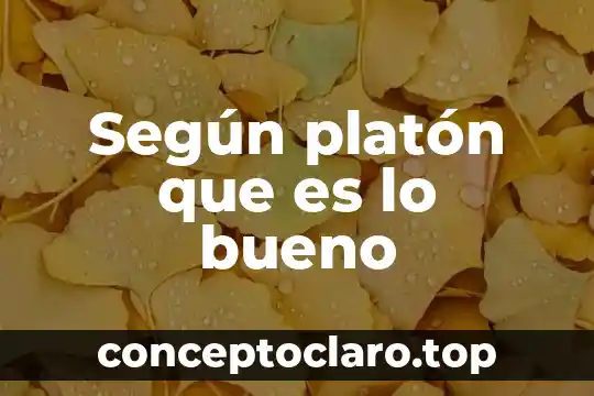 Según platón que es lo bueno
