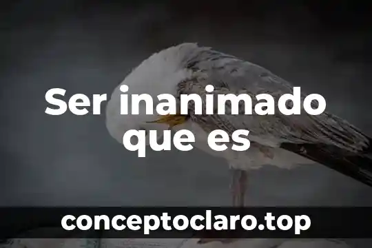 Ser inanimado que es