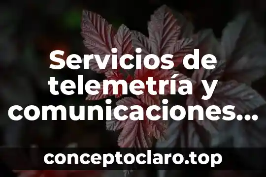 Servicios de telemetría y comunicaciones limitada que es