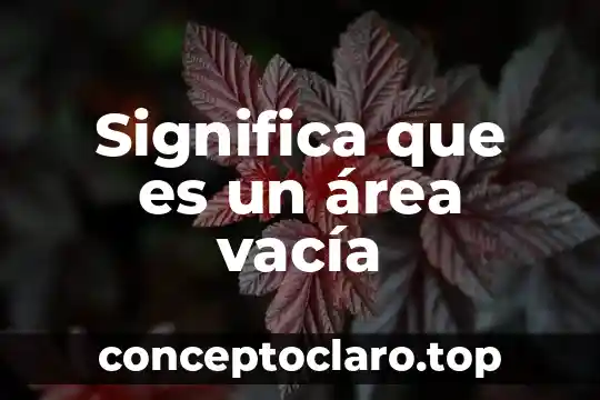 Que es area de transision para un hospital 6 Significa que es un área vacía