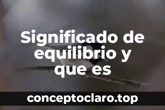 Que es un balñeario significado 4 Significado de equilibrio y que es