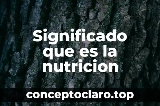 Que es el significado del nombre angelica 4 Significado que es la nutricion