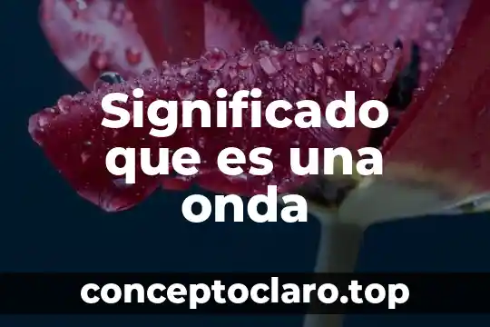 Que es doble conversion en educacion fisica 4 Significado que es una onda