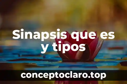 Que es nutriente tipos 8 Sinapsis que es y tipos