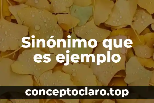 Que es encontrar el significado de palabras utilizando un sinónimo 5 Sinónimo que es ejemplo