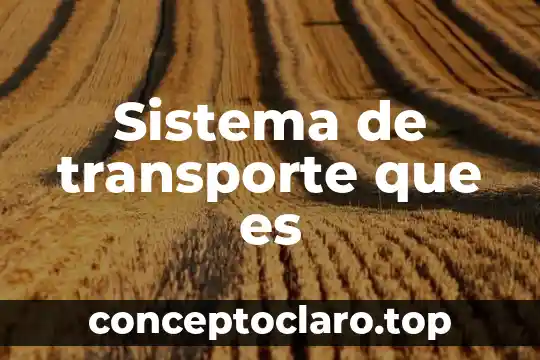 Sistema de transporte que es