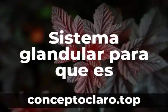 Sistema glandular para que es