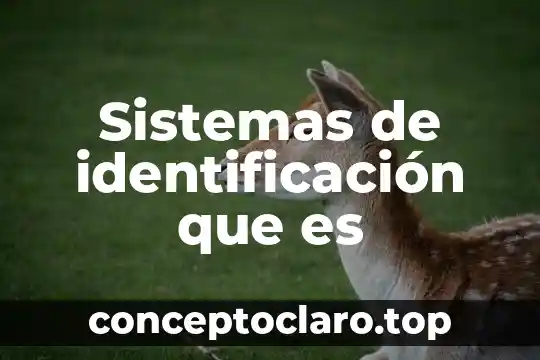 Qué es número de identificación de la auditoría 6 Sistemas de identificación que es