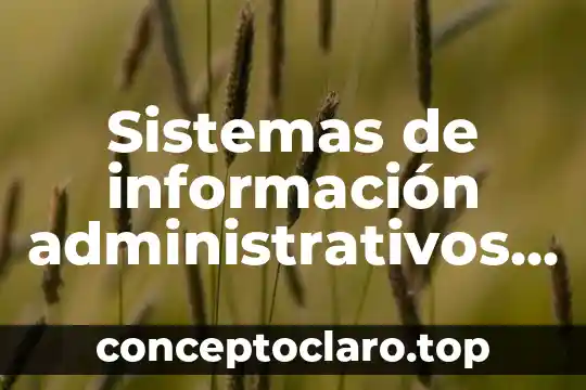 Sistemas de información administrativos que es